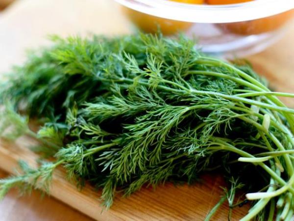 Kaj veste o naravnem inzulinu?